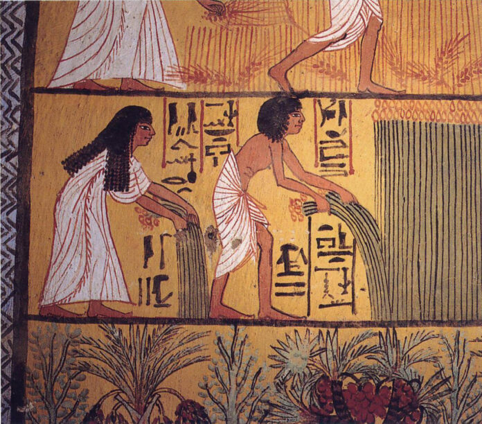 The History of Perfume: From Ancient Egypt to Modern Times